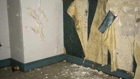 Yellow House - Yellow-House13.jpg