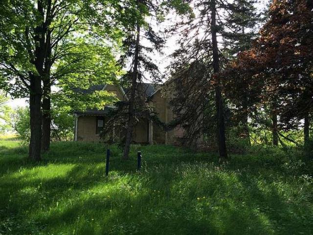 Yellow House photo 4