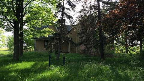 Yellow House photo 4