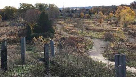 Wet N Wild - Wet-And-Wild-Waterpark374.jpg