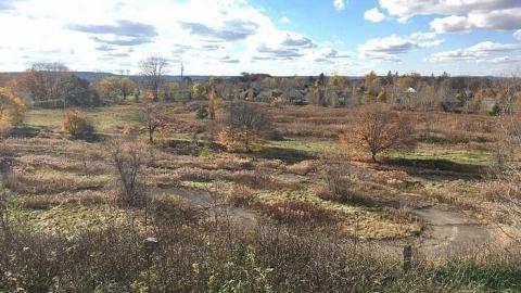 Photo from Wet N Wild