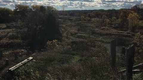 Wet N Wild - Wet-And-Wild-Waterpark382.jpg