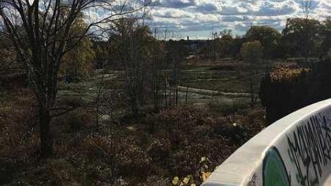 Wet N Wild - Wet-And-Wild-Waterpark383.jpg