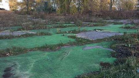 Wet N Wild - Wet-And-Wild-Waterpark385.jpg