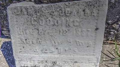 No Pain No Grief  - Sharon-Pioneer-Cemetery9.jpg