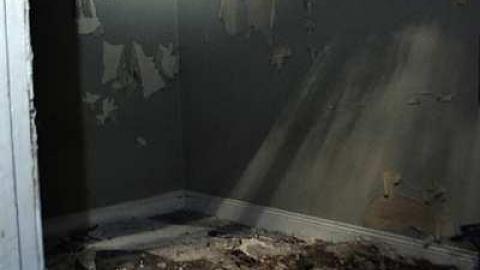 6SCOUT's Monster Home - _DSC6730.jpg