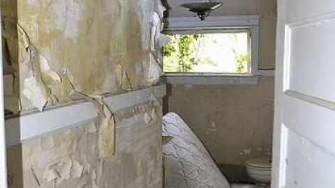 6SCOUT's Monster Home - _DSC6736.jpg