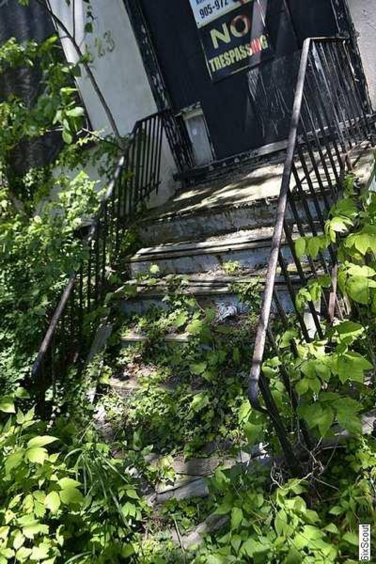 6SCOUT's Monster Home - _DSC6615.jpg