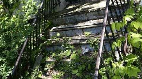 6SCOUT's Monster Home - _DSC6615.jpg