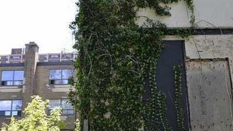 6SCOUT's Monster Home - _DSC6606.jpg