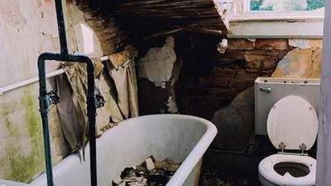 Photo from Cullen Gardens 2