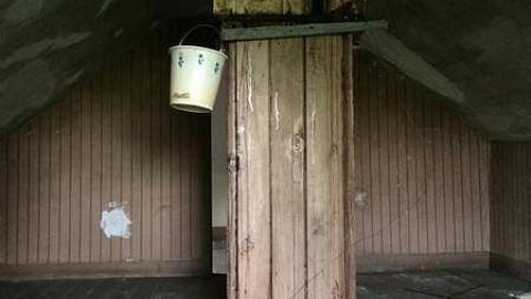 Photo from Hidden in The Bushes