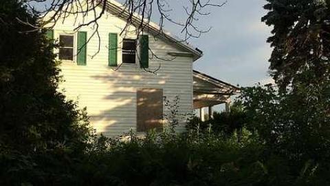 Photo from Hidden in The Bushes