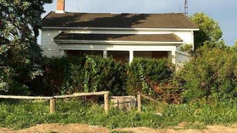 Photo from Hidden in The Bushes