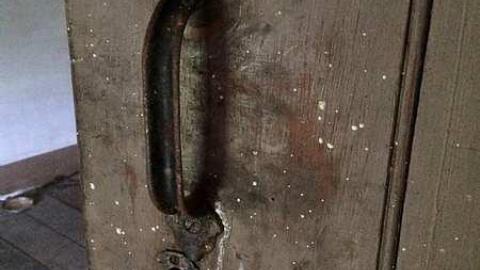 Hidden in The Bushes - IMG_4164.jpg