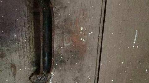 Hidden in The Bushes - IMG_4165.jpg