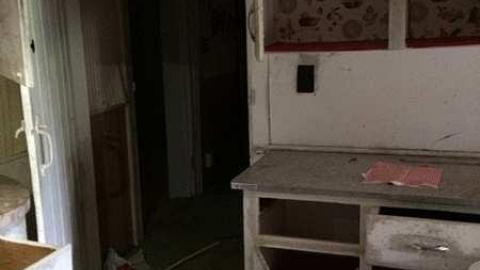 Hidden in The Bushes - IMG_4162.jpg