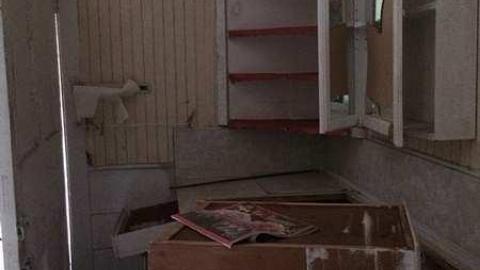 Hidden in The Bushes - IMG_4161.jpg