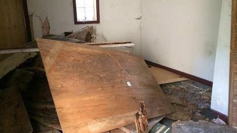 Hidden in The Bushes - IMG_7390.jpg