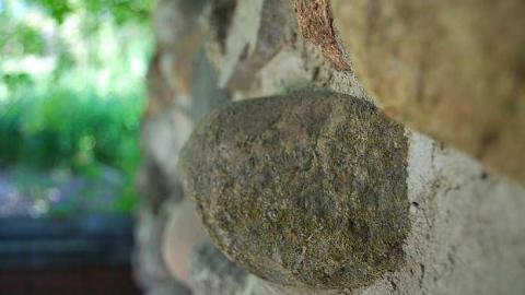 Munday House - Brook-Hill-Home60.jpg