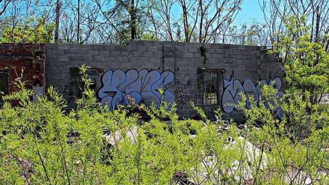 Hess Street - Catharine 16.jpg