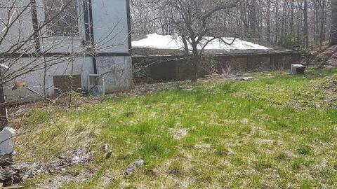 Hopelessly Forgotten photo 2