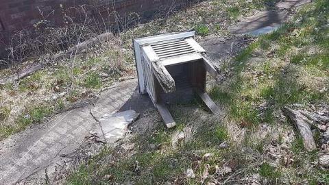 Hopelessly Forgotten photo 4