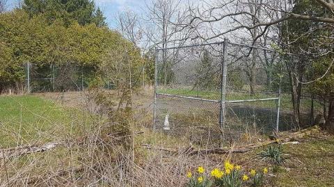 Forgotten - Hopelessly-Forgotten8.jpg