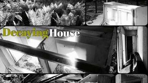 Back to Nature  - IMG_1944.jpg