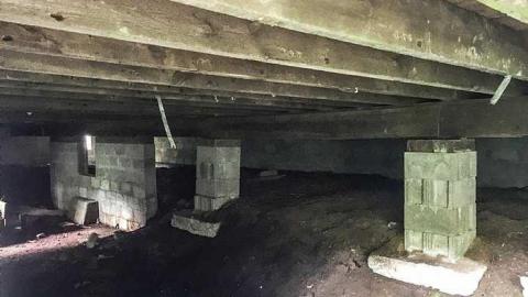 Back to Nature  - Watermarked16(2017-06-04-1046).jpg