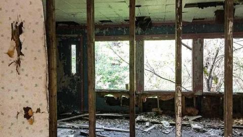 Back to Nature  - Watermarked11(2017-06-04-1046).jpg