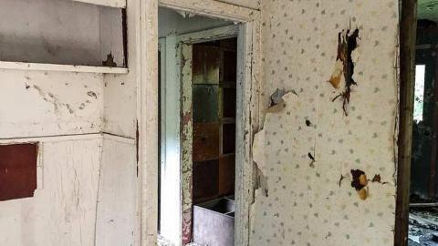 Back to Nature  - Watermarked12(2017-06-04-1046).jpg