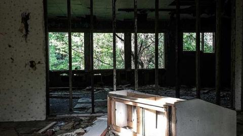 Back to Nature  - Watermarked13(2017-06-04-1046).jpg