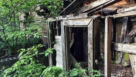 Back to Nature  - Watermarked14(2017-06-04-1046).jpg