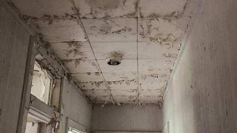 Back to Nature  - Watermarked3(2017-06-04-1046).jpg