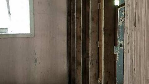 Back to Nature  - Watermarked4(2017-06-04-1046).jpg