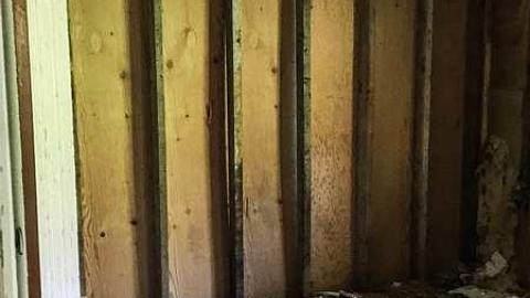 Back to Nature  - Watermarked5(2017-06-04-1046).jpg