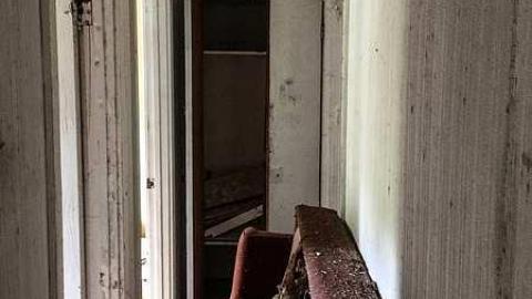 Back to Nature  - Watermarked6(2017-06-04-1046).jpg