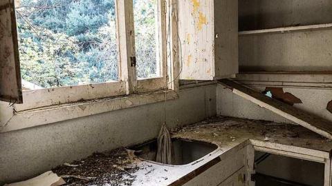 Back to Nature  - Watermarked8(2017-06-04-1046).jpg