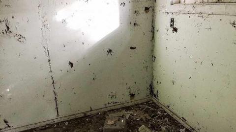 Back to Nature  - Watermarked9(2017-06-04-1046).jpg