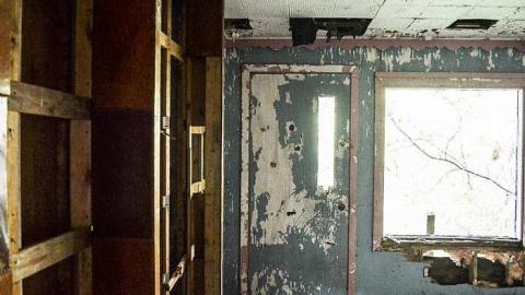 Back to Nature  - Watermarked4(2017-06-04-1551).jpg