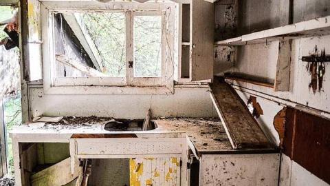 Back to Nature  - Watermarked5(2017-06-04-1551).jpg