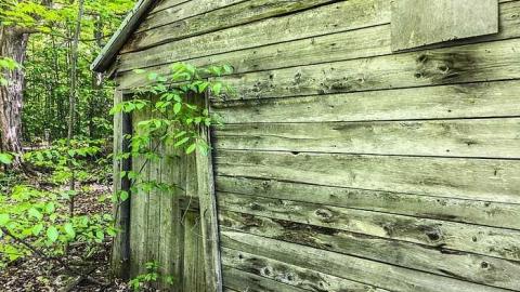 Sugar Shack Spring '17 - Sugar-Shack5.jpg