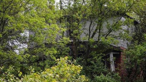 Wrecked in Brechin - Watermarked1(2017-06-05-1726).jpg