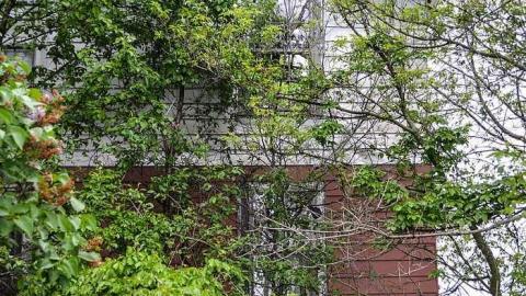 Wrecked in Brechin - Watermarked3(2017-06-05-1726).jpg