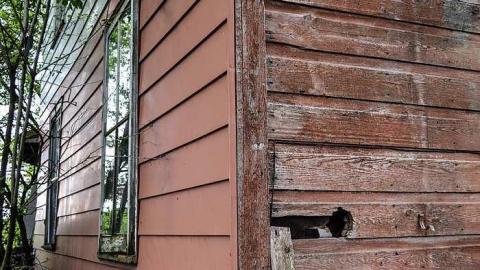 Photo from Wrecked in Brechin