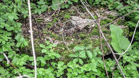 Wrecked in Brechin - Watermarked22(2017-06-05-1727).jpg