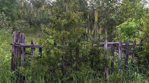 Ramara Fruitstand  - Fruit-stand-Cabin2.jpg