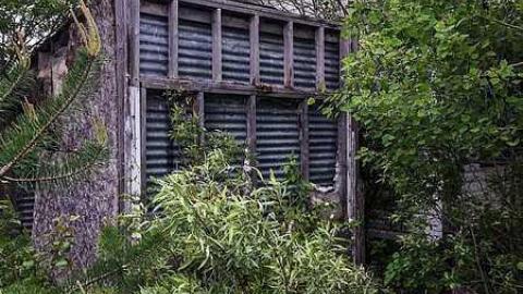 Ramara Fruitstand  - Fruit-stand-Cabin25.jpg