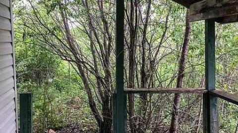 Ramara Fruitstand  - Fruit-stand-Cabin26.jpg